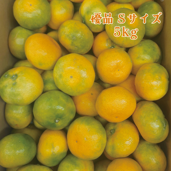 【愛媛県興居島産】極早生みかん【優】S・M・Lサイズ約5kg