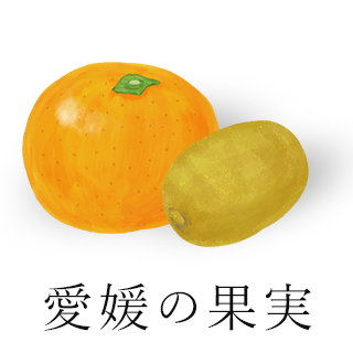 愛媛の果実（えひめのみかん）