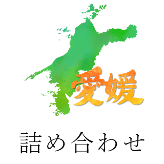 愛媛詰め合わせ