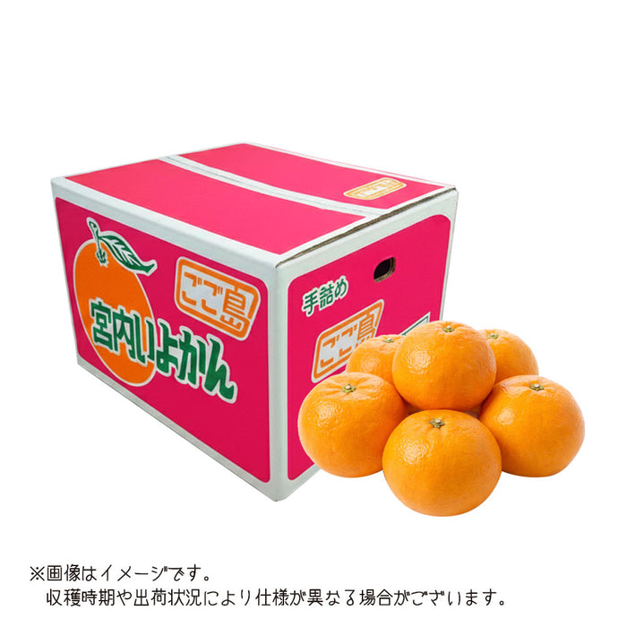 【愛媛県産】伊予柑(優)3Lサイズ約10kg