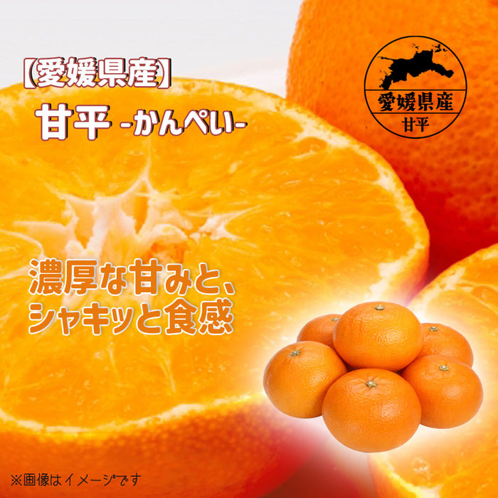 【愛媛県】甘平-かんぺい-