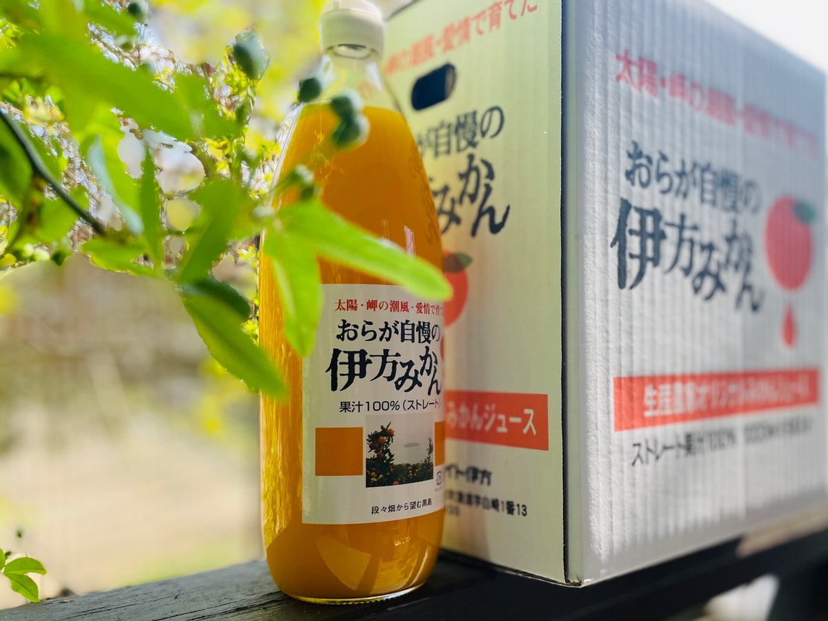 THEみかん(^▽^)/6本 — いしづち山麓マルシェ