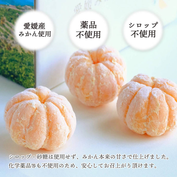 皮なし冷凍みかん 約１kg（10〜25個程度）（愛媛・西宇和産）