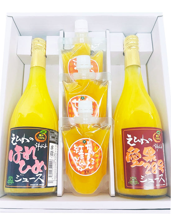 えひめの愛果28号ジュース、はれひめジュース、ちゅるるんゼリー（みかん、せとか、紅まどんな）セット