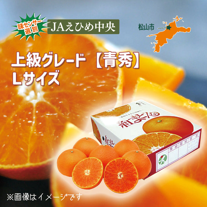 ★送料無料★紅まどんな【青秀】Lサイズ2.7kg（C-1）