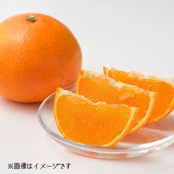 ★送料無料★紅まどんな【〇印】Lサイズ2.7kg（C-3）