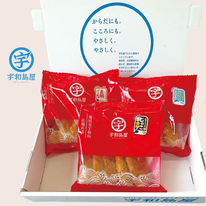 お魚メンチカツセット（宇和島屋）