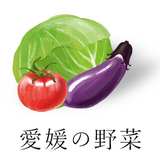 愛媛の野菜