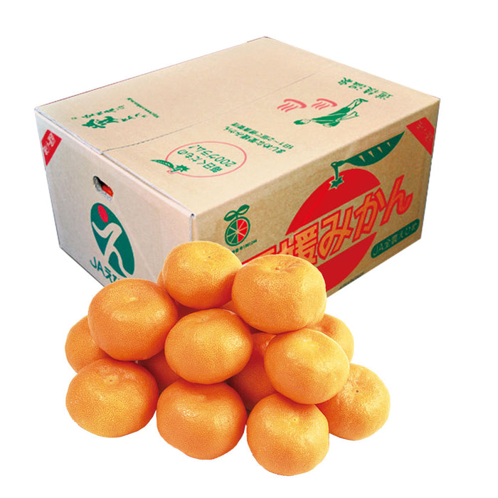 ★送料無料★愛媛みかん【優】5kg（C-6）