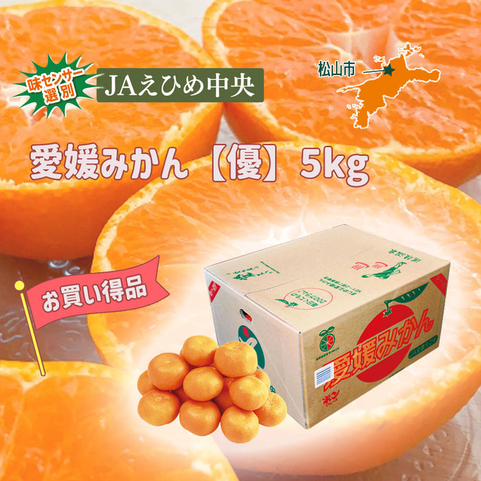★送料無料★愛媛みかん【優】5kg（C-6）