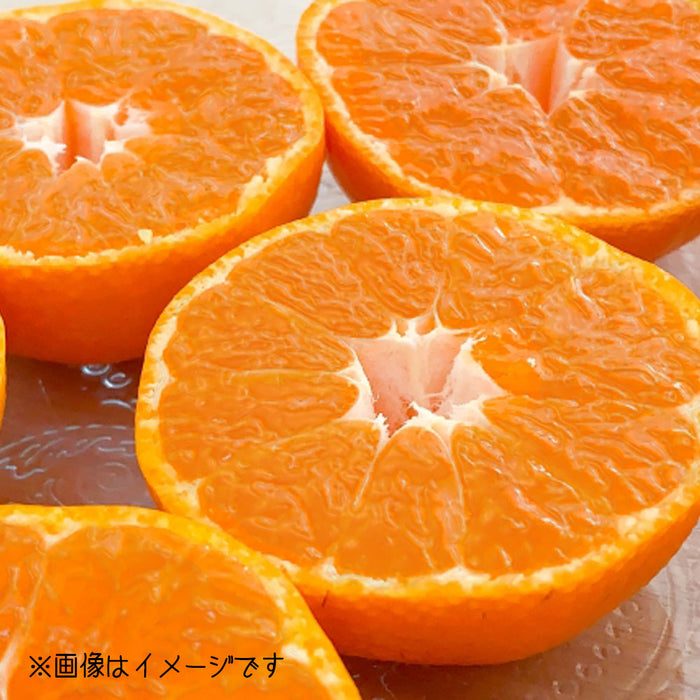 ★送料無料★愛媛みかん【優】5kg（C-6）