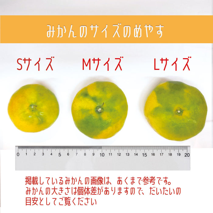 【愛媛県興居島産】極早生みかん【優】S・M・Lサイズ約5kg