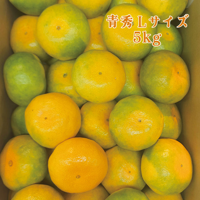 【愛媛県興居島産】極早生みかん【青秀】S・Lサイズ約5kg