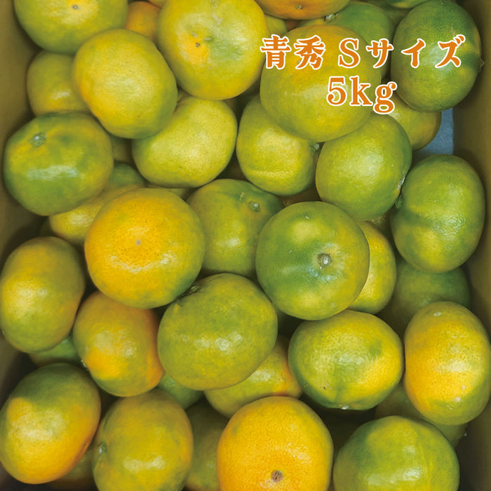 【愛媛県興居島産】極早生みかん【青秀】S・Lサイズ約5kg