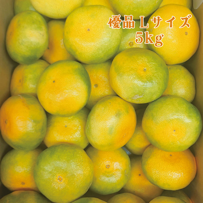 【愛媛県興居島産】極早生みかん【優】S・M・Lサイズ約5kg