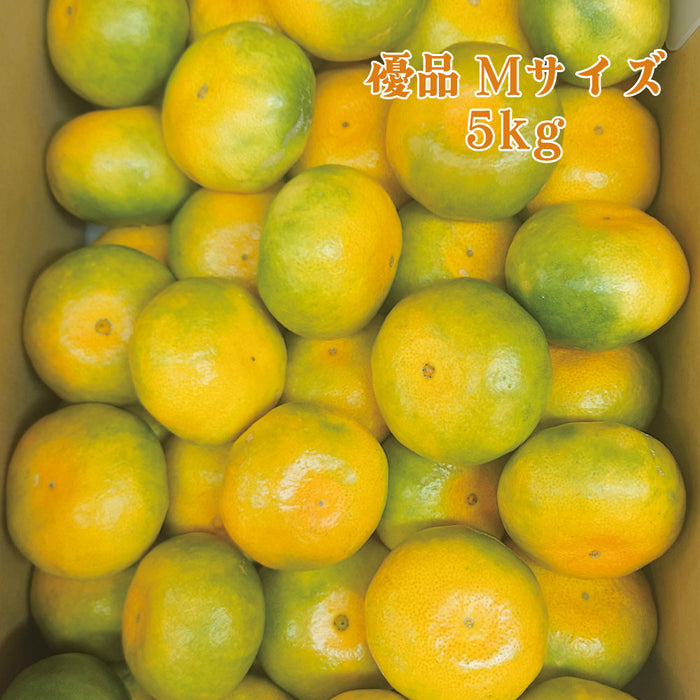 【愛媛県興居島産】極早生みかん【優】S・M・Lサイズ約5kg