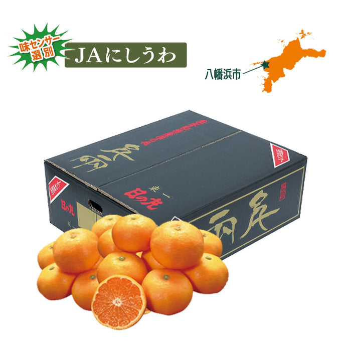 ★送料無料★日の丸みかん「千両」5kg（N-1）