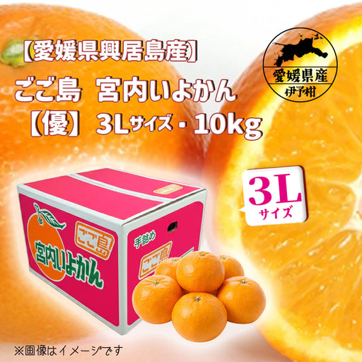 citrussummit — いしづち山麓マルシェ