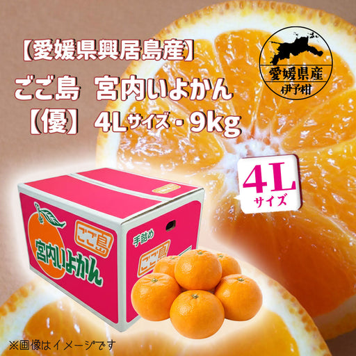 citrussummit — いしづち山麓マルシェ