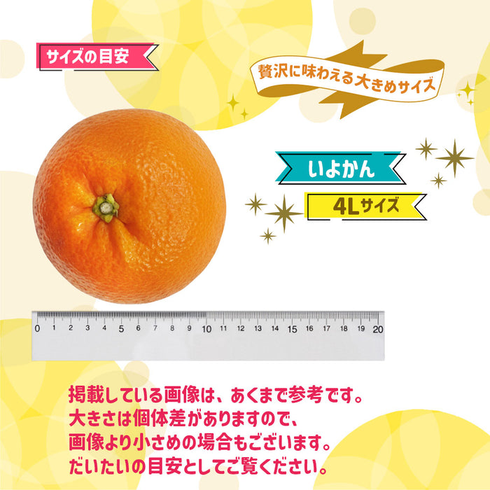 【愛媛県産】伊予柑(優)4Lサイズ約9kg