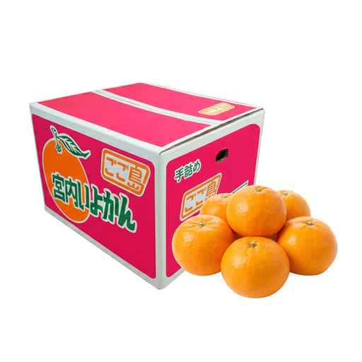 citrussummit — いしづち山麓マルシェ