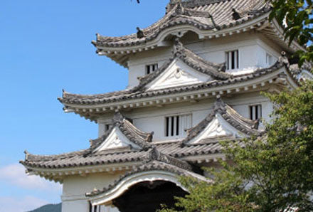 じゃこ天の歴史