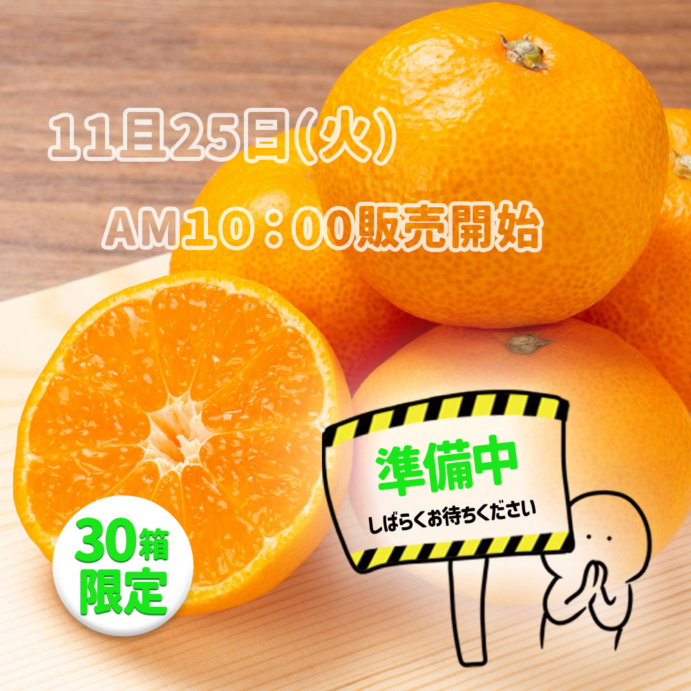 柑橘おまかせセット5kg【A-001】 — いしづち山麓マルシェ