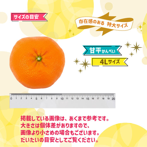 citrussummit — いしづち山麓マルシェ