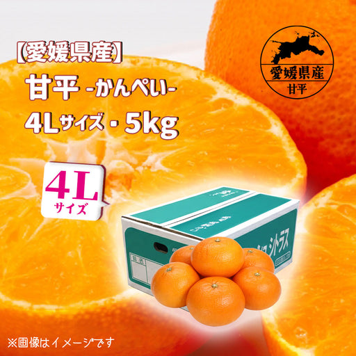 季節のおすすめ。 — いしづち山麓マルシェ