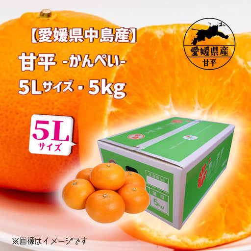 citrussummit — いしづち山麓マルシェ