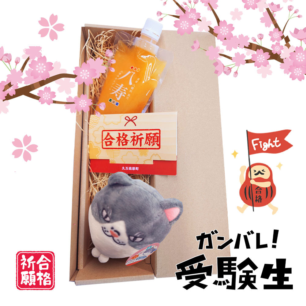 数量限定！】合格祈願セット【みきゃん・ダークみきゃん・マルが応援