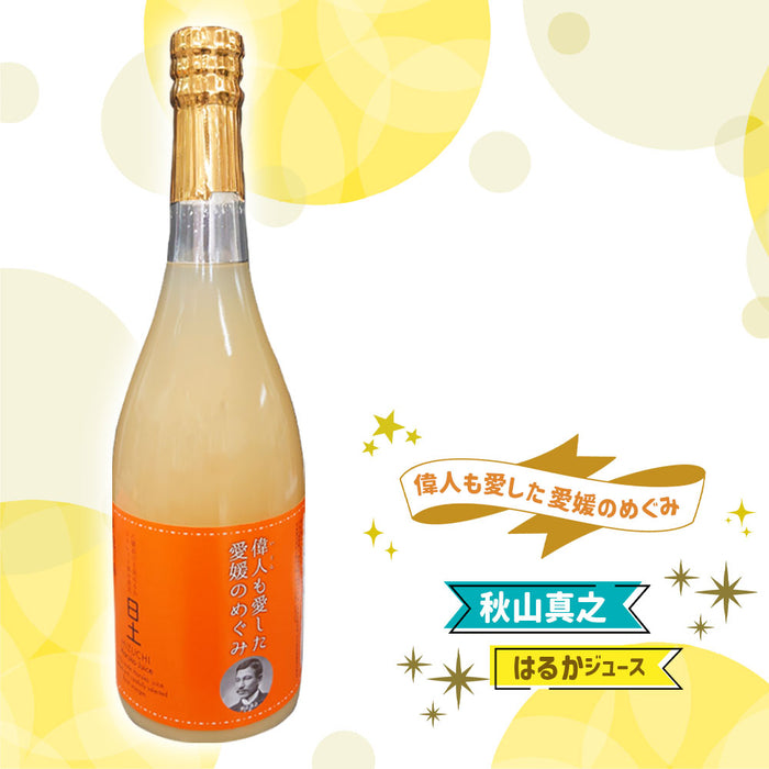 愛媛のめぐみ3本セット【A-030】