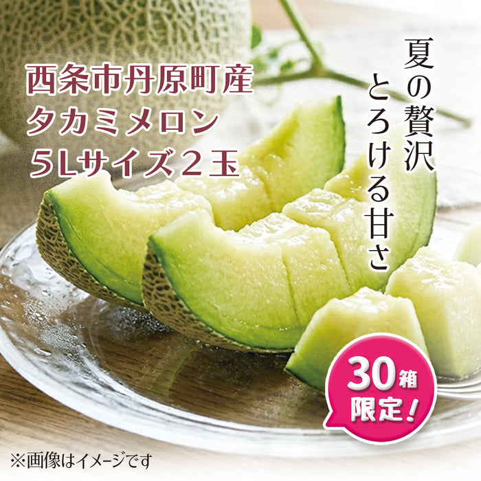 タカミメロン2個【A-002】