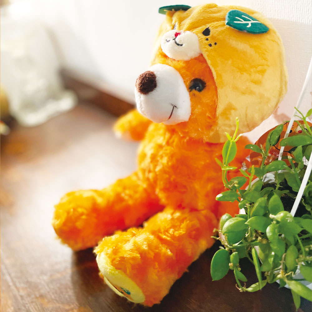 ご当地くまさん～愛媛編No.36～ ご当地ベア愛媛みきゃん/S