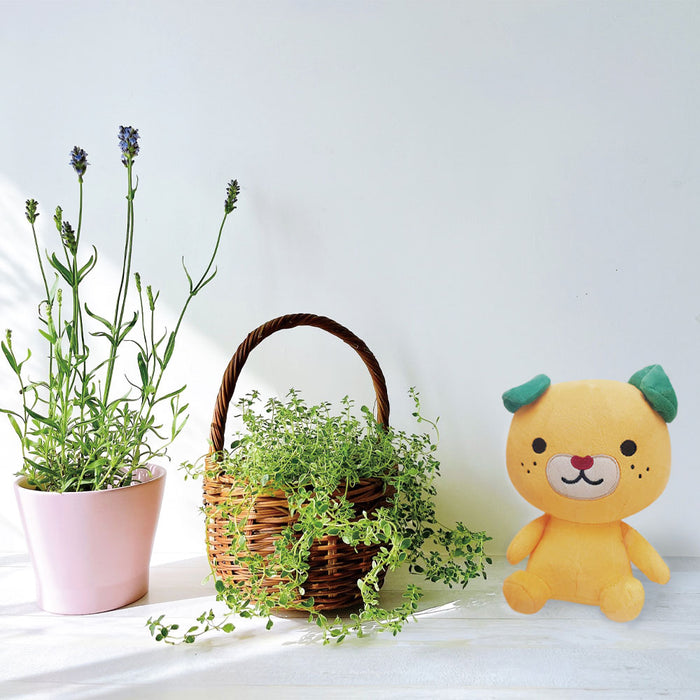 みきゃんぬいぐるみとジュースのセット