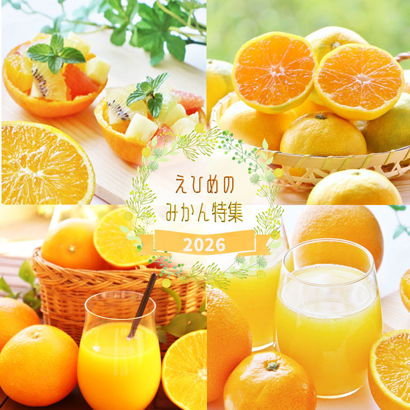 citrussummit — いしづち山麓マルシェ