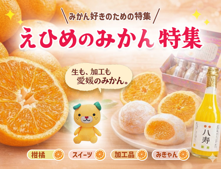 citrussummit — いしづち山麓マルシェ