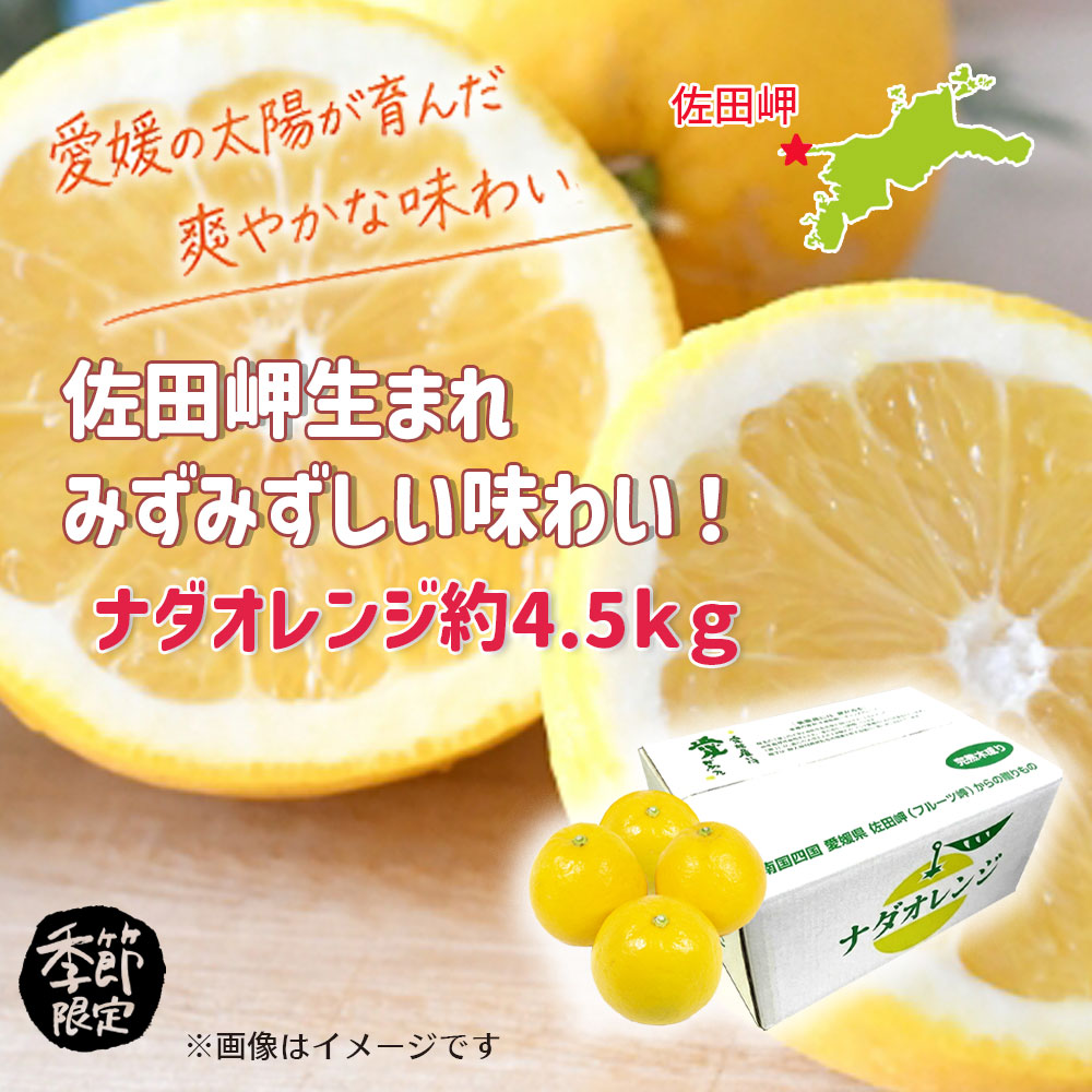 夏ギフト2026