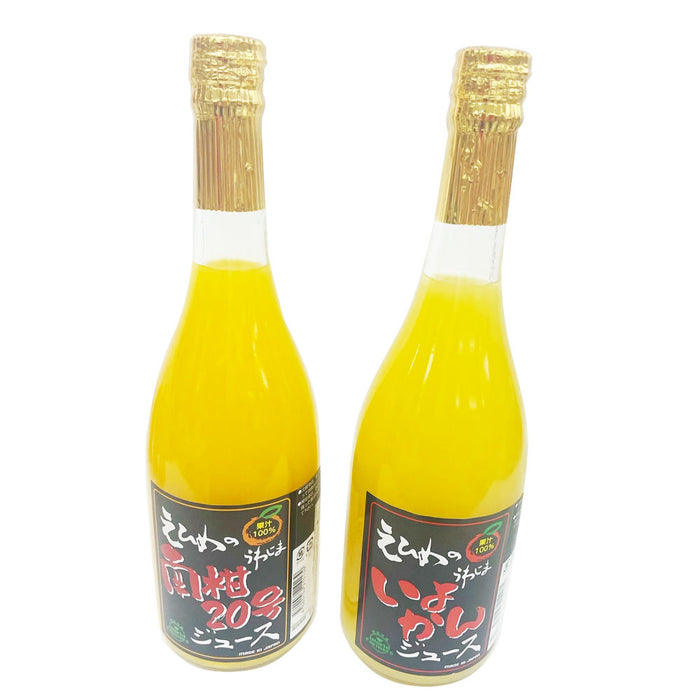 いよかんジュース、南柑20号ジュース、ちゅるるんゼリー（みかん、せとか、紅まどんな）セット