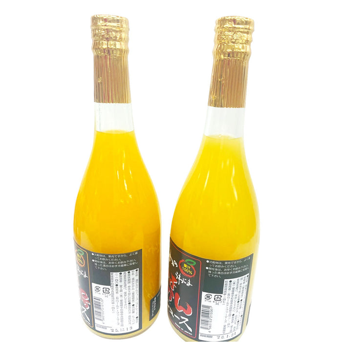 いよかんジュース、南柑20号ジュース、ちゅるるんゼリー（みかん、せとか、紅まどんな）セット