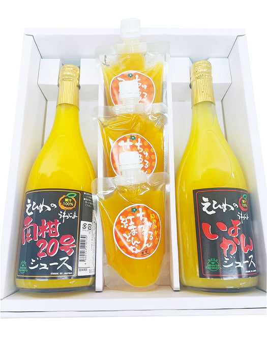 いよかんジュース、南柑20号ジュース、ちゅるるんゼリー（みかん、せとか、紅まどんな）セット