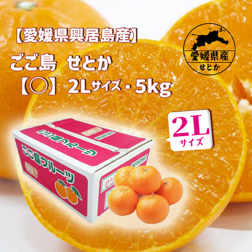 季節のおすすめ。 — いしづち山麓マルシェ