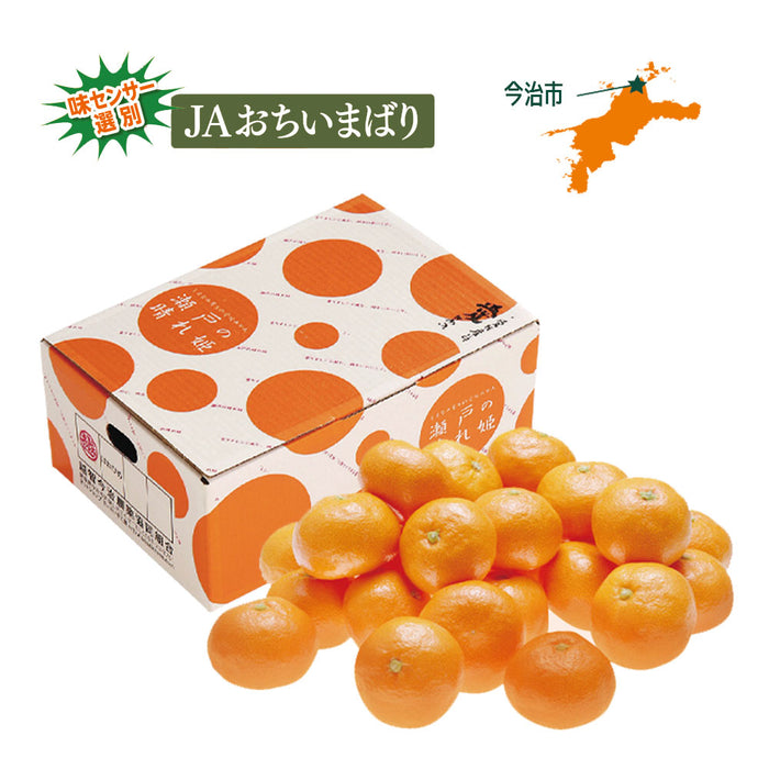 ★送料無料★はれひめ「瀬戸の晴れ姫」4kg（O-1）