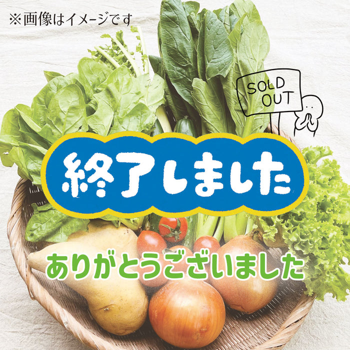 野菜おまかせ8種セット【A-003】